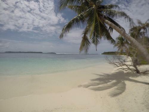 Hostal Muli Inn Surf View Maldives