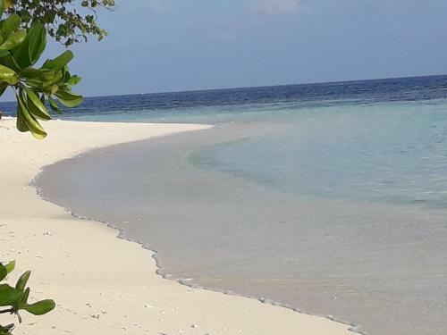 Hostal Muli Inn Surf View Maldives