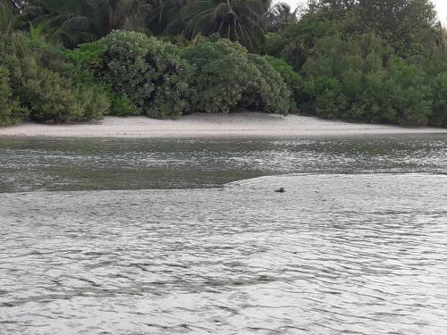 Hostal Muli Inn Surf View Maldives