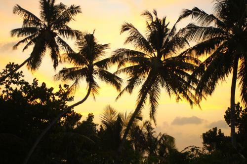 Hostal Muli Inn Surf View Maldives