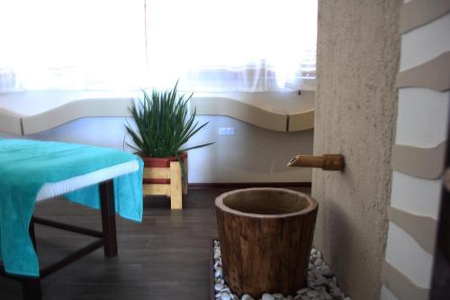 Hostal Beachwood Hotel And Spa At Maafushi