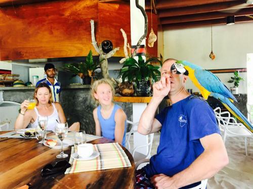 Hostal Noovilu Suites Maldives