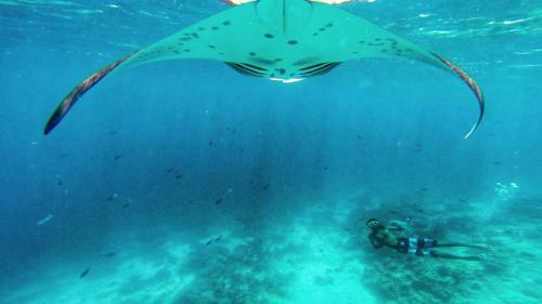Hostal Noovilu Suites Maldives