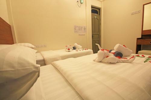 Hostal Nemo Inn