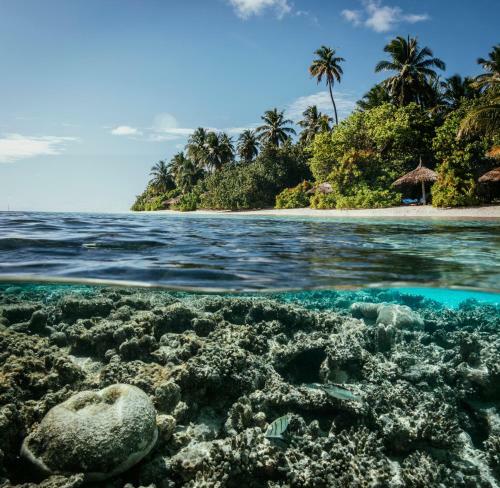 Hotel Robinson Club Maldives Adults Only