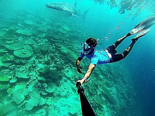 Hostal Sundive Lodge Maldives
