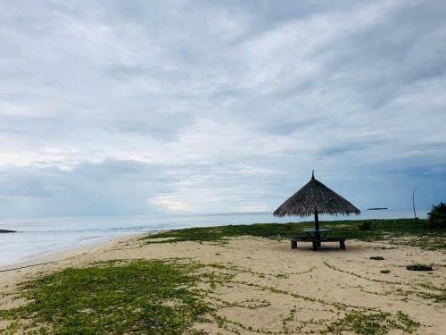 Hostal Sundive Lodge Maldives