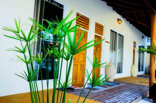 Hostal Sundive Lodge Maldives