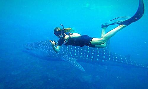 Hostal Sundive Lodge Maldives