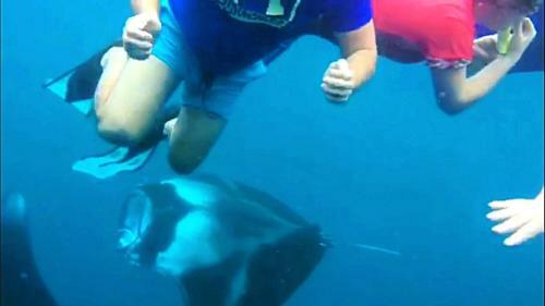 Hostal Sundive Lodge Maldives