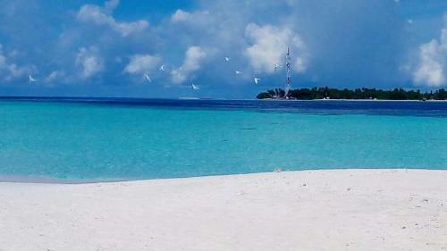 Hostal Sundive Lodge Maldives
