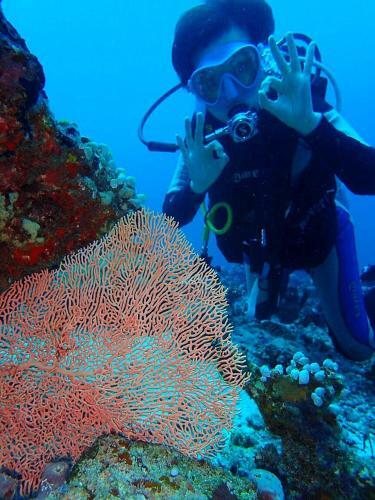 Hostal Sundive Lodge Maldives