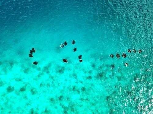 Hostal Athiri Beach Maldives