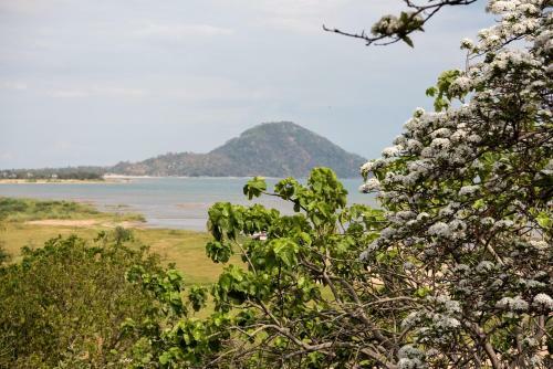 Safari Beach Lodge