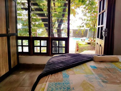 Bed & Breakfast Chinyonga Guesthouse