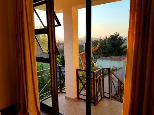 Bed & Breakfast Chinyonga Guesthouse