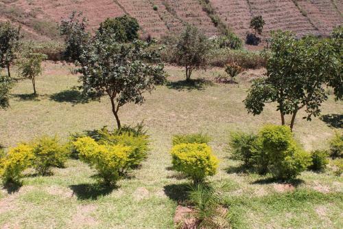 Bed & Breakfast Hill Of Grace