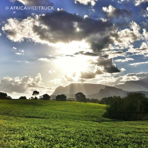 Africawildtruck Eco Camp & Lodge