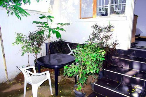 Spendwise Lodge & Apartments