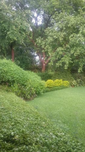 Spendwise Lodge & Apartments