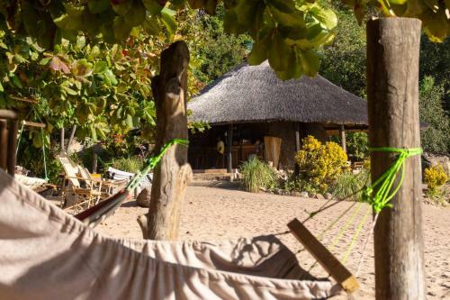 Mufasa Eco Lodge
