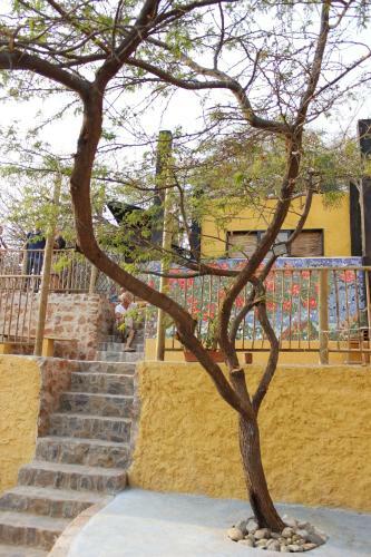 Villa Mandela Hostel Casa Mojito
