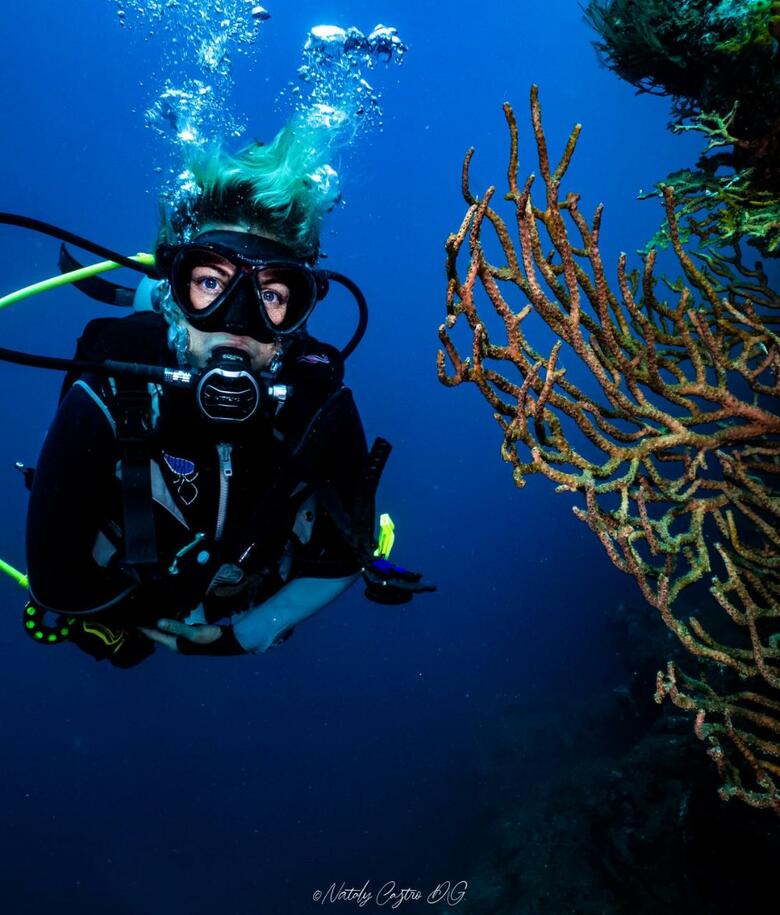 Hostal Svahns Aparthotel