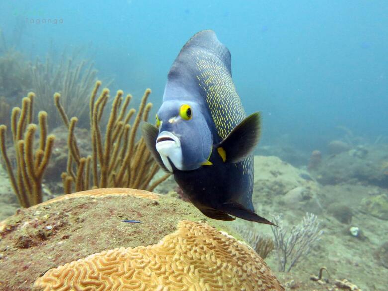 Hostal Svahns Aparthotel