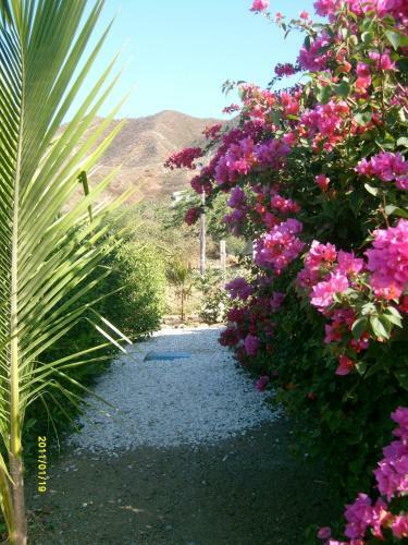 Hostal Casa Tara