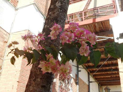 Hostal Three Palms Fianar