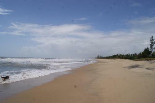 Bed & Breakfast Villa-malaza