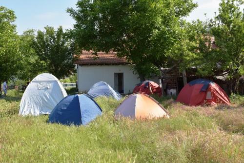 Albergue Rocklandcamp