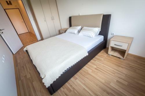 Apartamento Cane