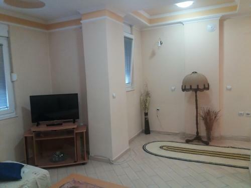 Central Apartment
