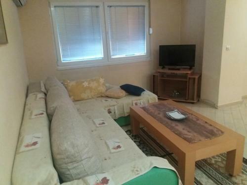 Central Apartment