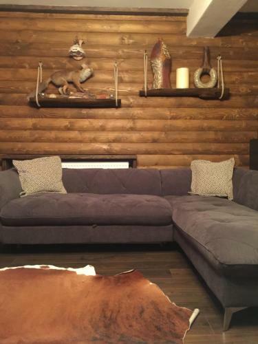 Perfect Lodge House Mavrovo