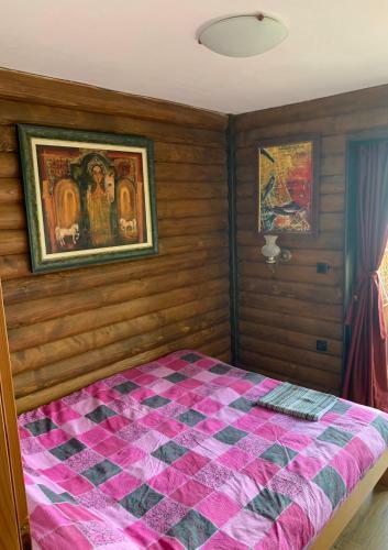 Perfect Lodge House Mavrovo