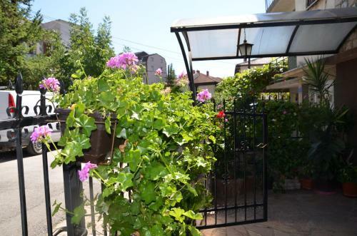 Apartamento Villa Caci