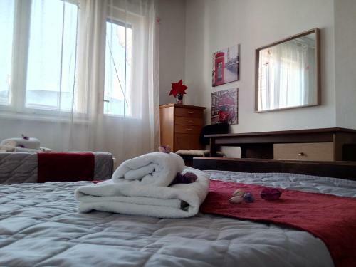 The Most Central Skopje Apartment