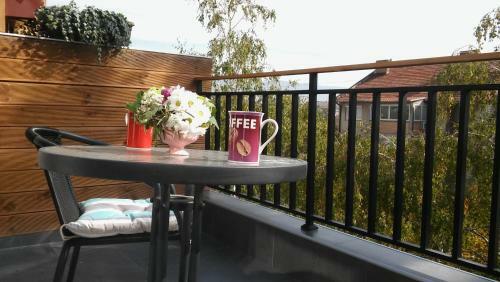 Rooftop Apartment Near Town Centre - Brand New