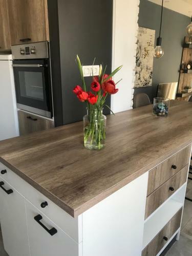 Luxury Apartment Mihajlovic&centre