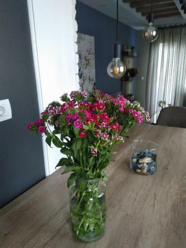 Luxury Apartment Mihajlovic&centre