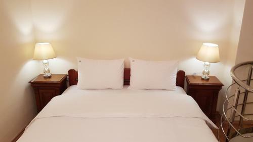 Golden Delight Central Apartment