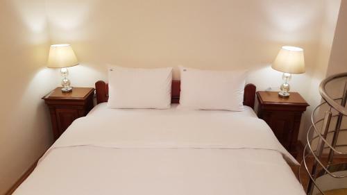 Golden Delight Central Apartment