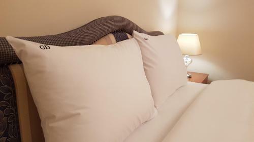 Golden Delight Central Apartment