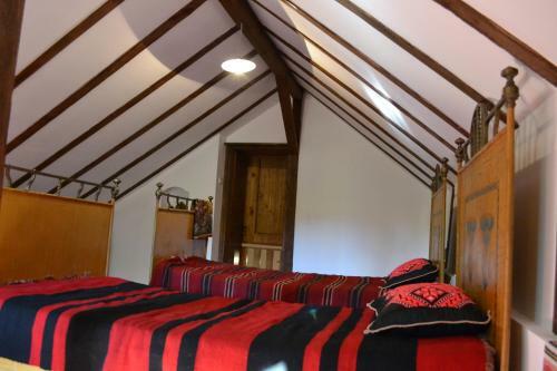 Apartment In Antique Museum Filip