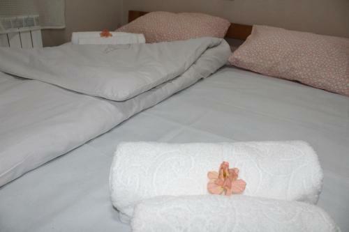 Hostal Villa Flora Guesthouse