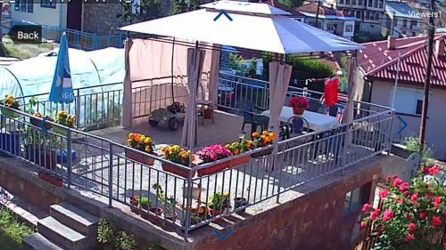 Hostal Villa Flora Guesthouse