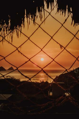 Hostal Acuarius