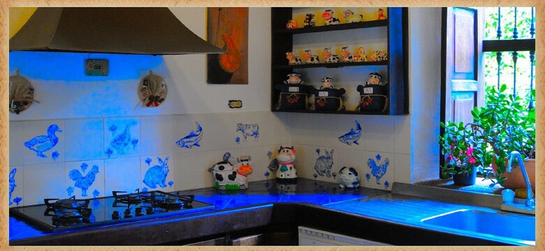 Hotel Boutique Wassiki Campestre